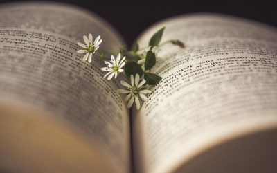 Primeros Pasos en la Poesía: Tu Viaje hacia la Expresión Creativa